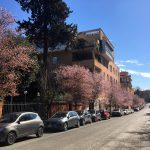 gastroenterologo-roma