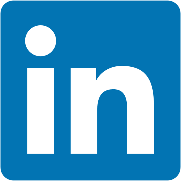 LinkedIn ercole de masi