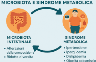microbiota e sindrome metabolica