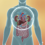la sindrome cardionefrometabolica